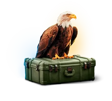 Bald Eagle Case case cs go