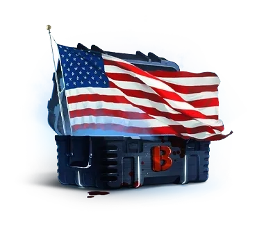 United States Flag Case case cs go