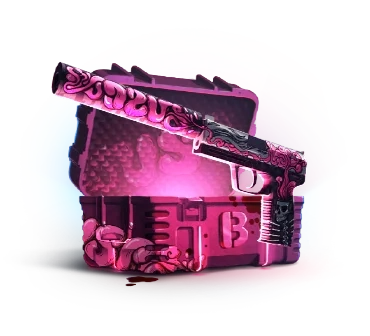 USP-S Case case cs go